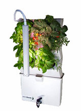 Load image into Gallery viewer, Vertical Self-watering Indoor Garden | VerdeNibble 18
