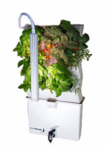 Vertical Self-watering Indoor Garden | VerdeNibble 18