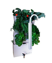 Load image into Gallery viewer, Vertical Self-watering Indoor Garden | VerdeNibble 18
