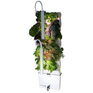 Vertical Self-watering Indoor Garden | VerdeGraze 36