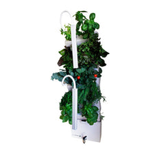 Load image into Gallery viewer, Vertical Self-watering Indoor Garden | VerdeGraze 36
