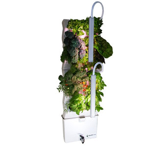Vertical Self-watering Indoor Garden | VerdeGraze 36