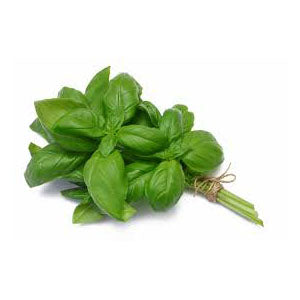 Grow basil in indoor vertical garden Green Thumb Technology